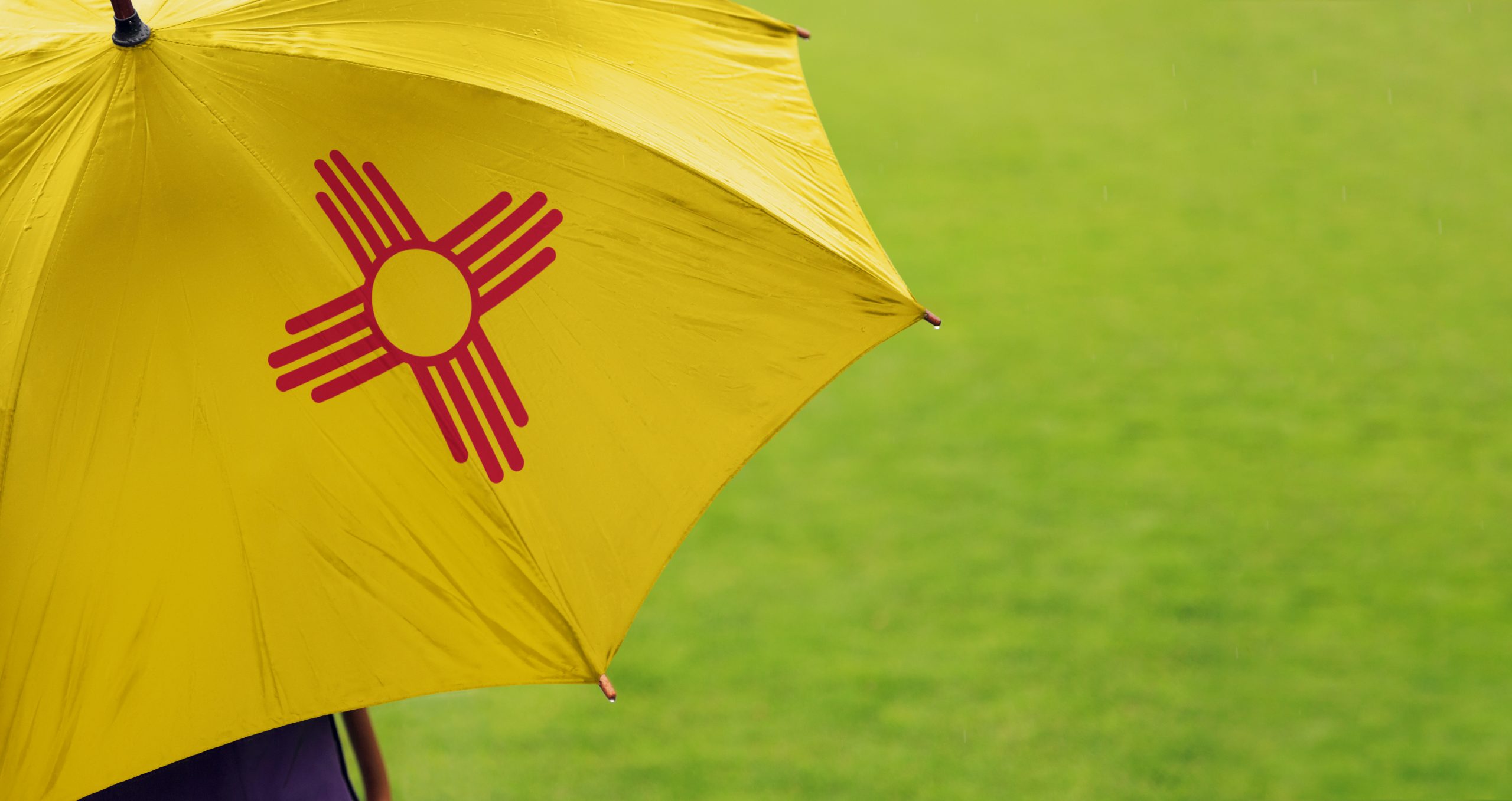 new mexico umbrella